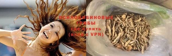 МДМА Новодвинск