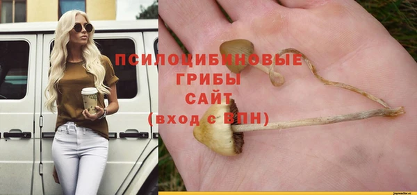 СК Нязепетровск