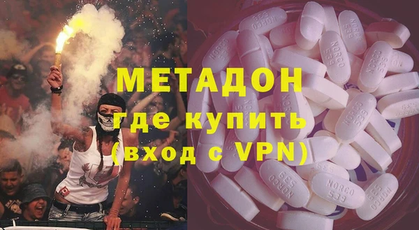 прущие грибы Новозыбков