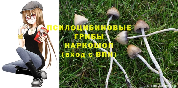 mix Заводоуковск