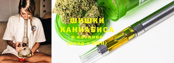 прущие грибы Новозыбков
