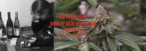 прущие грибы Новозыбков